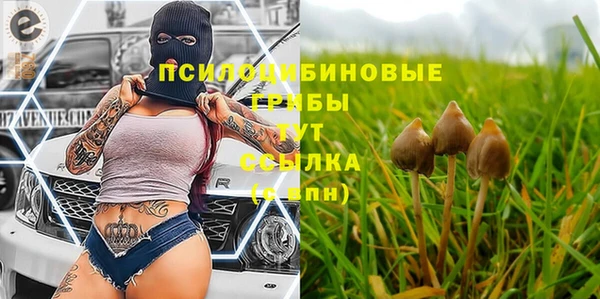 а пвп мука Алзамай