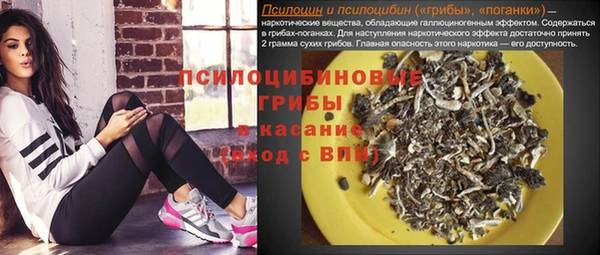 эйфоретик Алексин