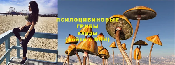 эйфоретик Алексин